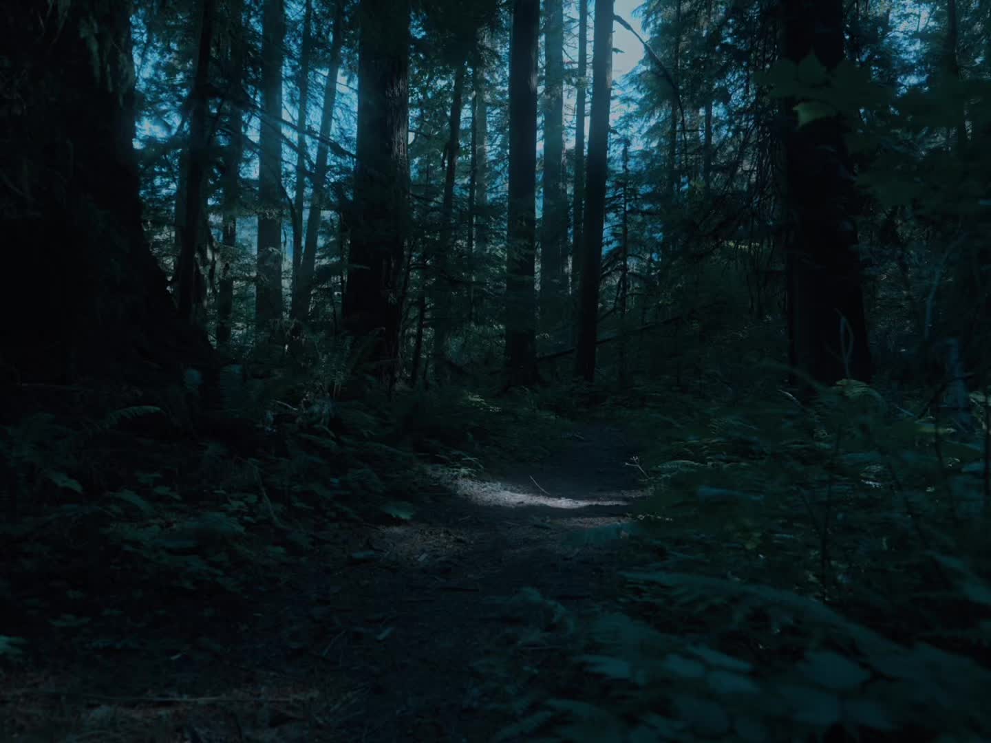 @Nxdvisuals