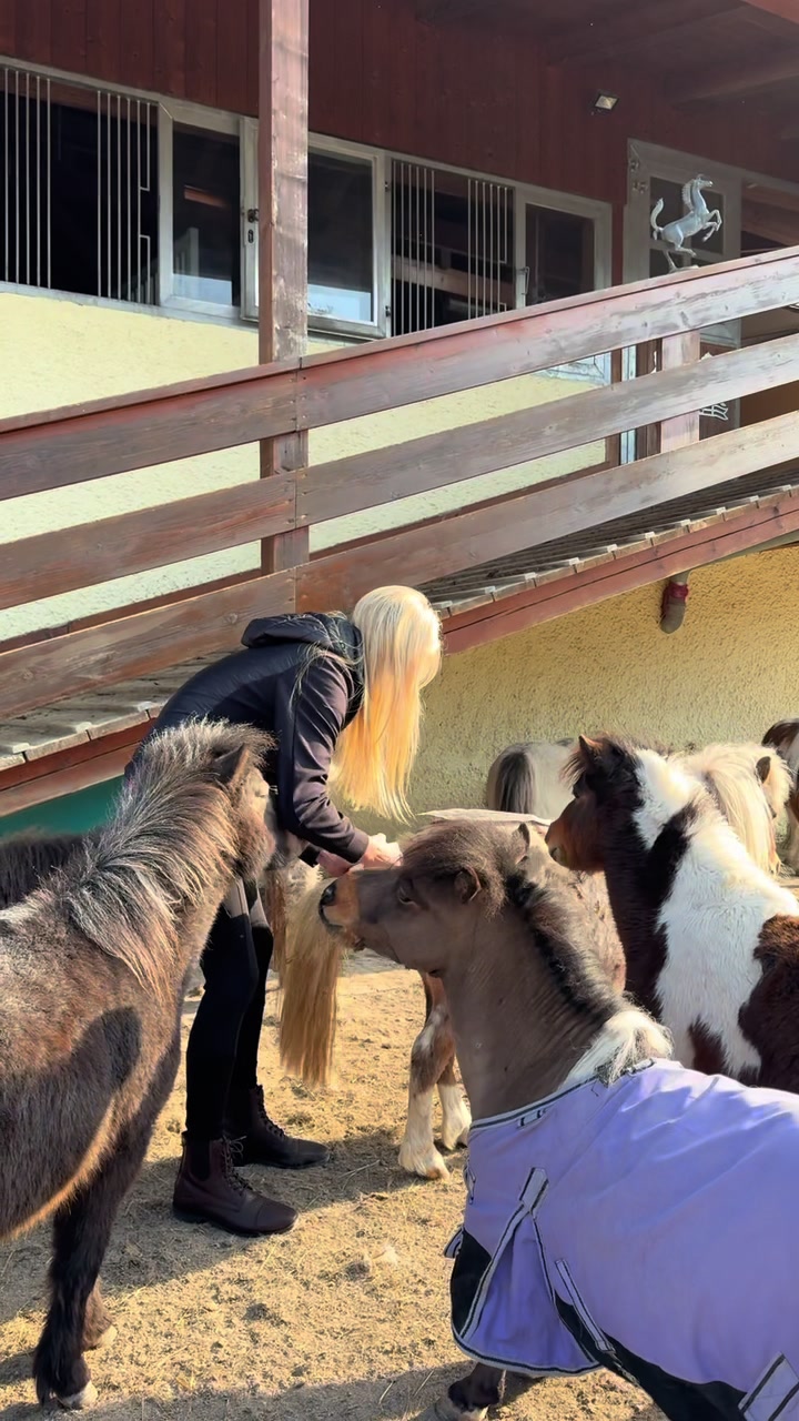 @julia_libertyhorses