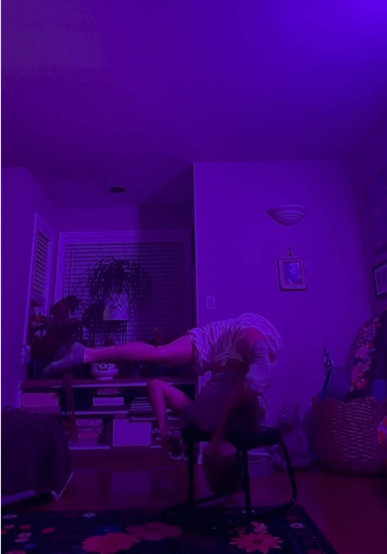 @gardengirl8440