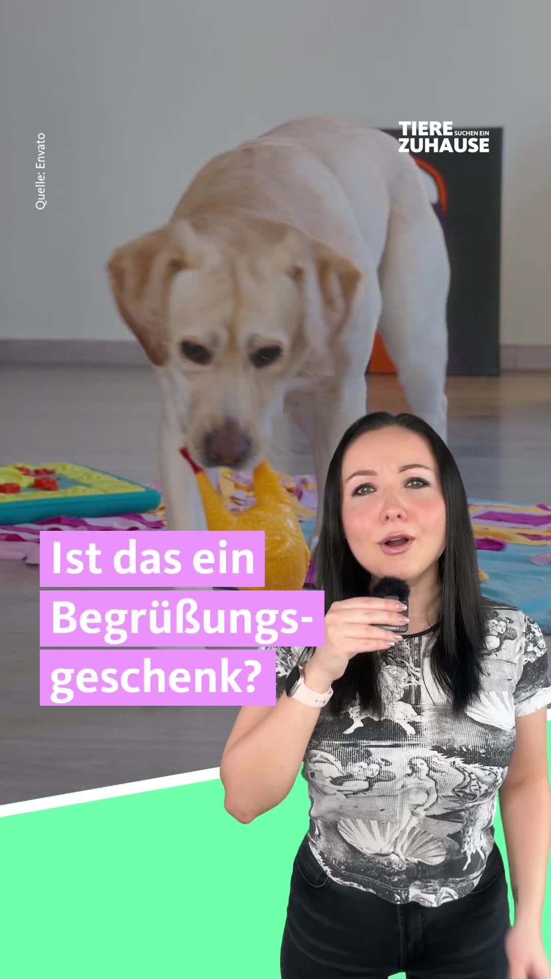 @Tiere suchen ein Zuhause