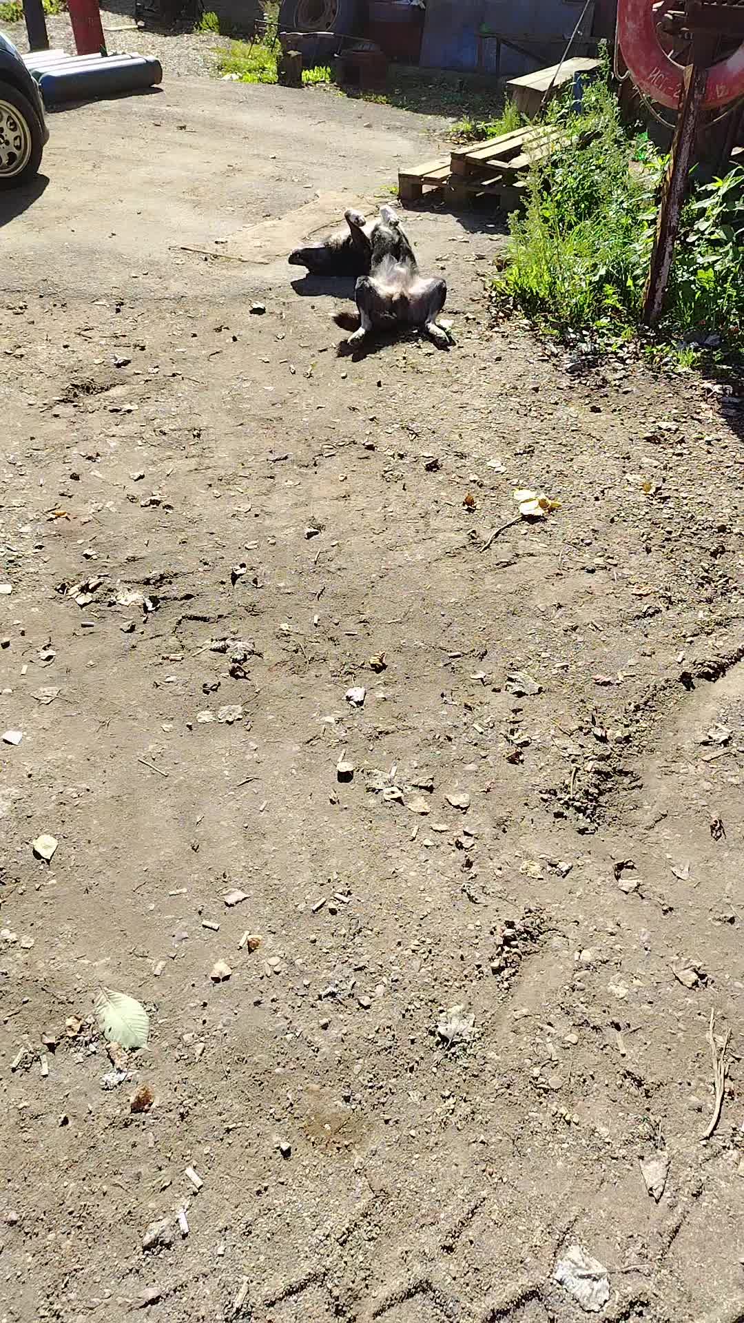 @Рузиль