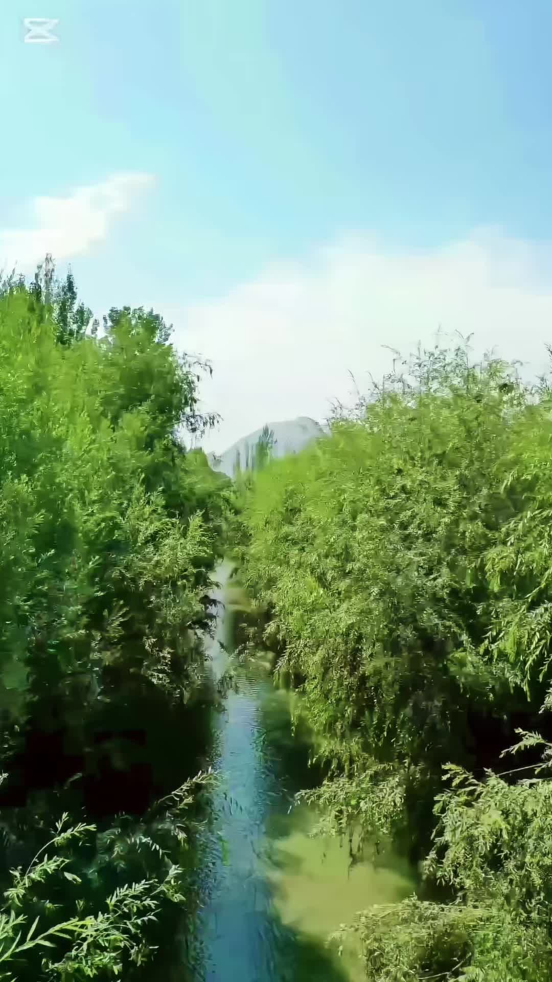 @Najibullah Noori