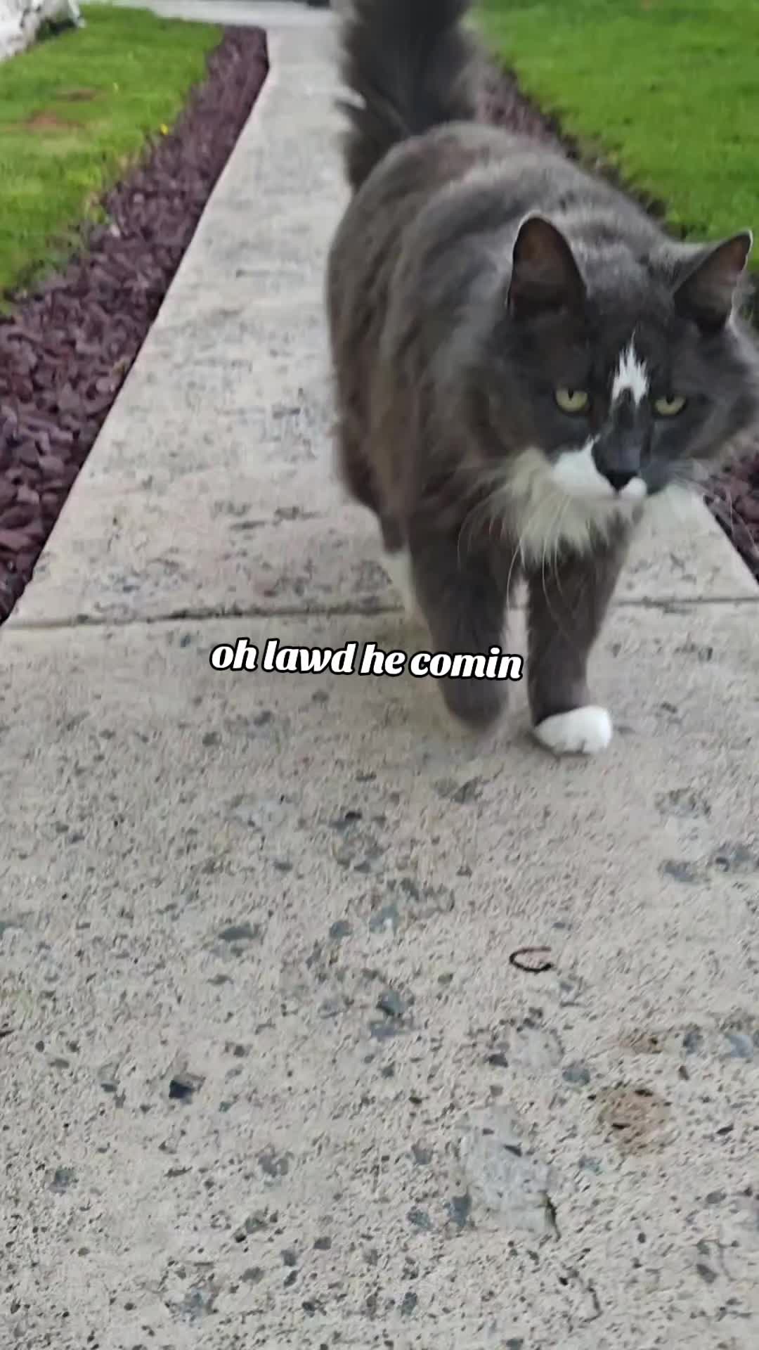 @💫sabrina