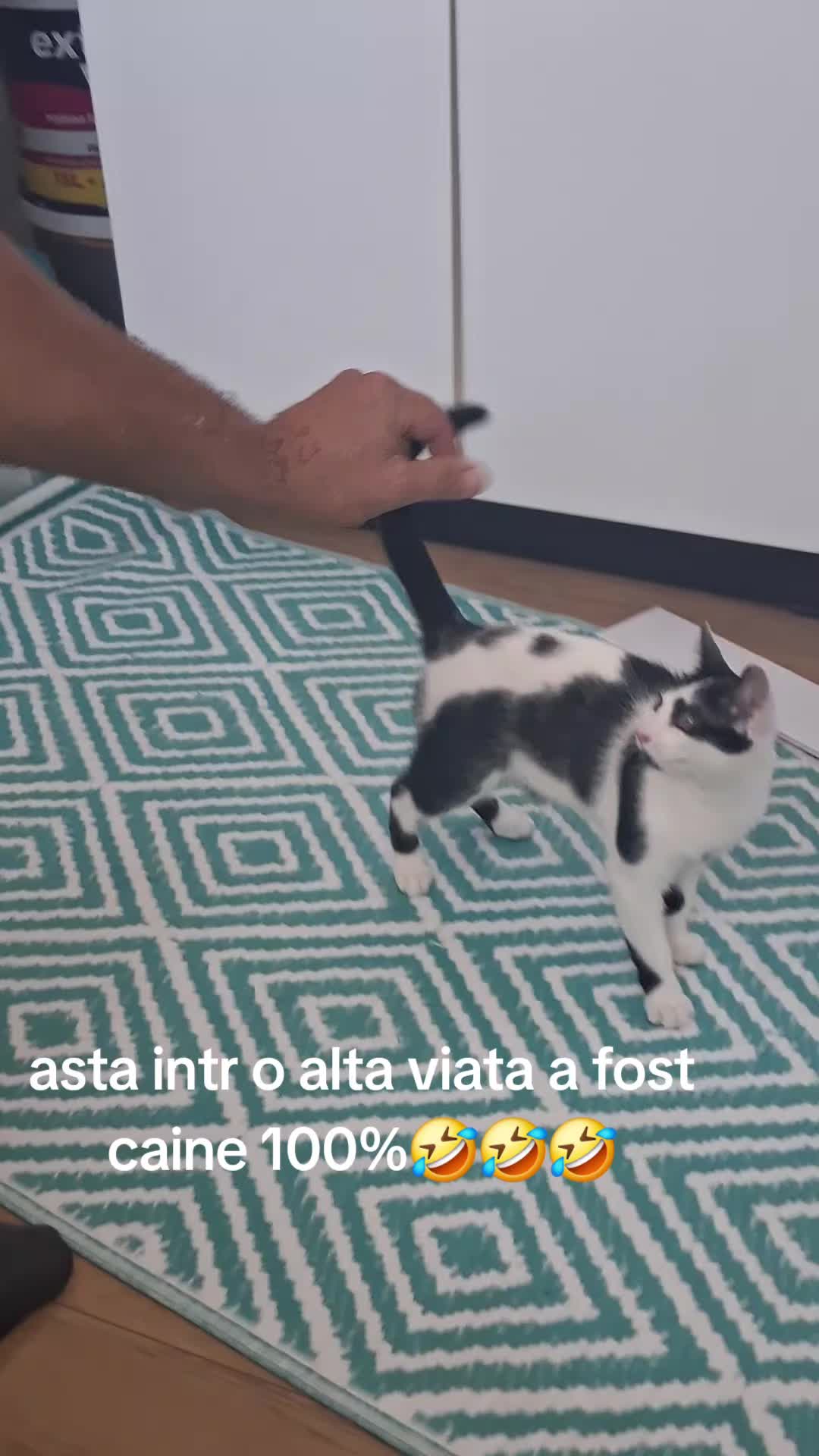 @giovannigiova