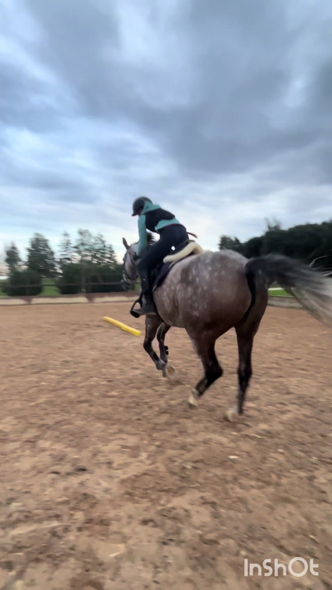 @🐴