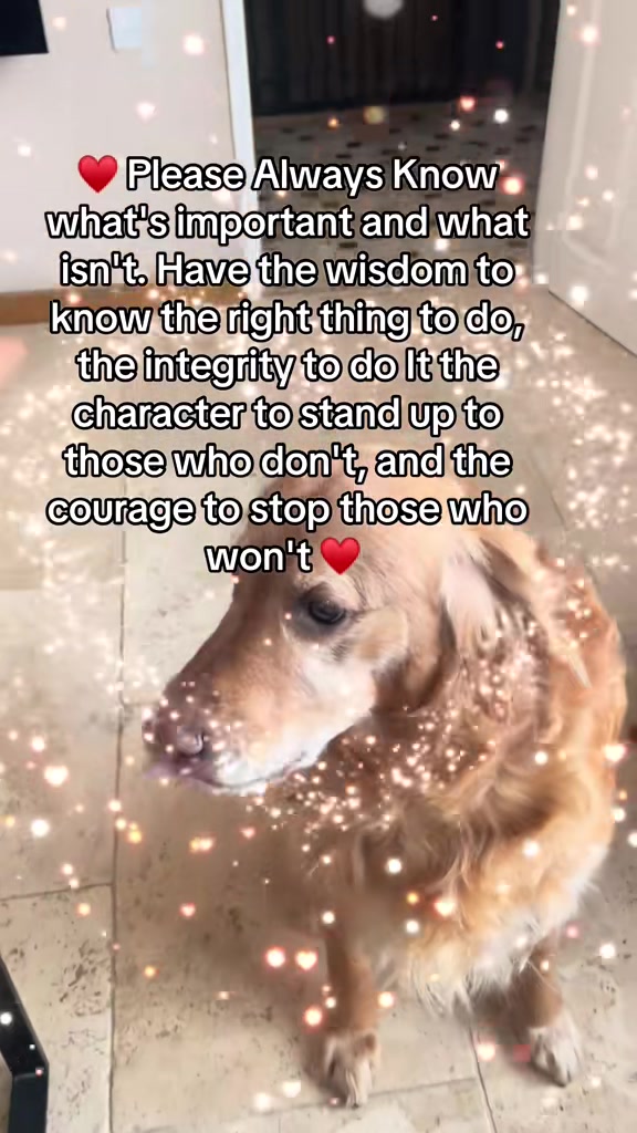 @Happy buddy