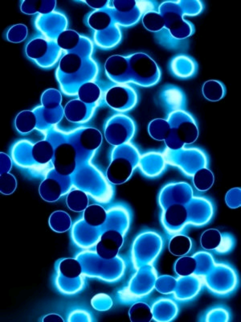@𒁉𒋾𒊭𒊺𒋼𒊭𒍣
