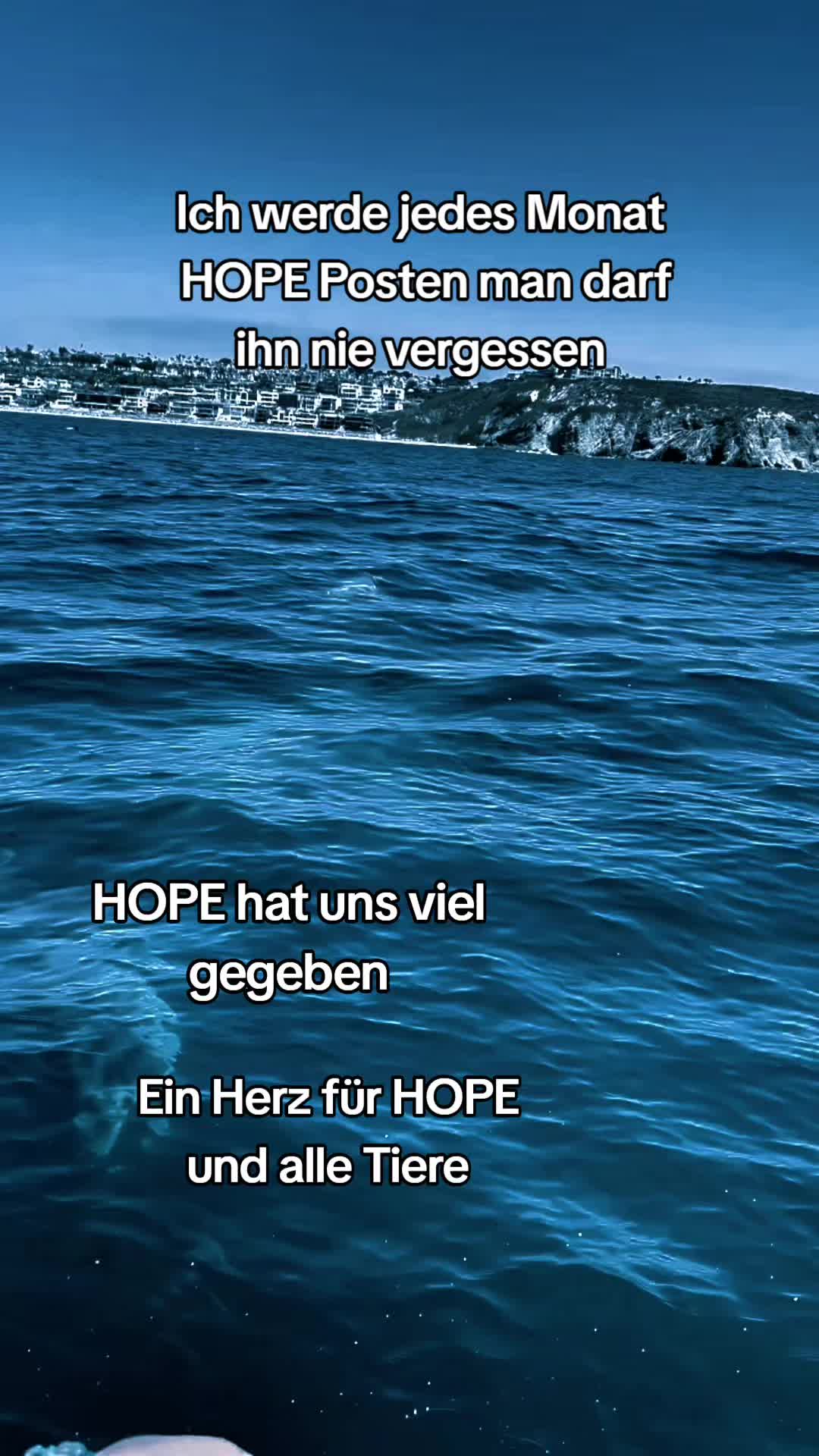 @Hope_for_the_Animals 🇦🇹