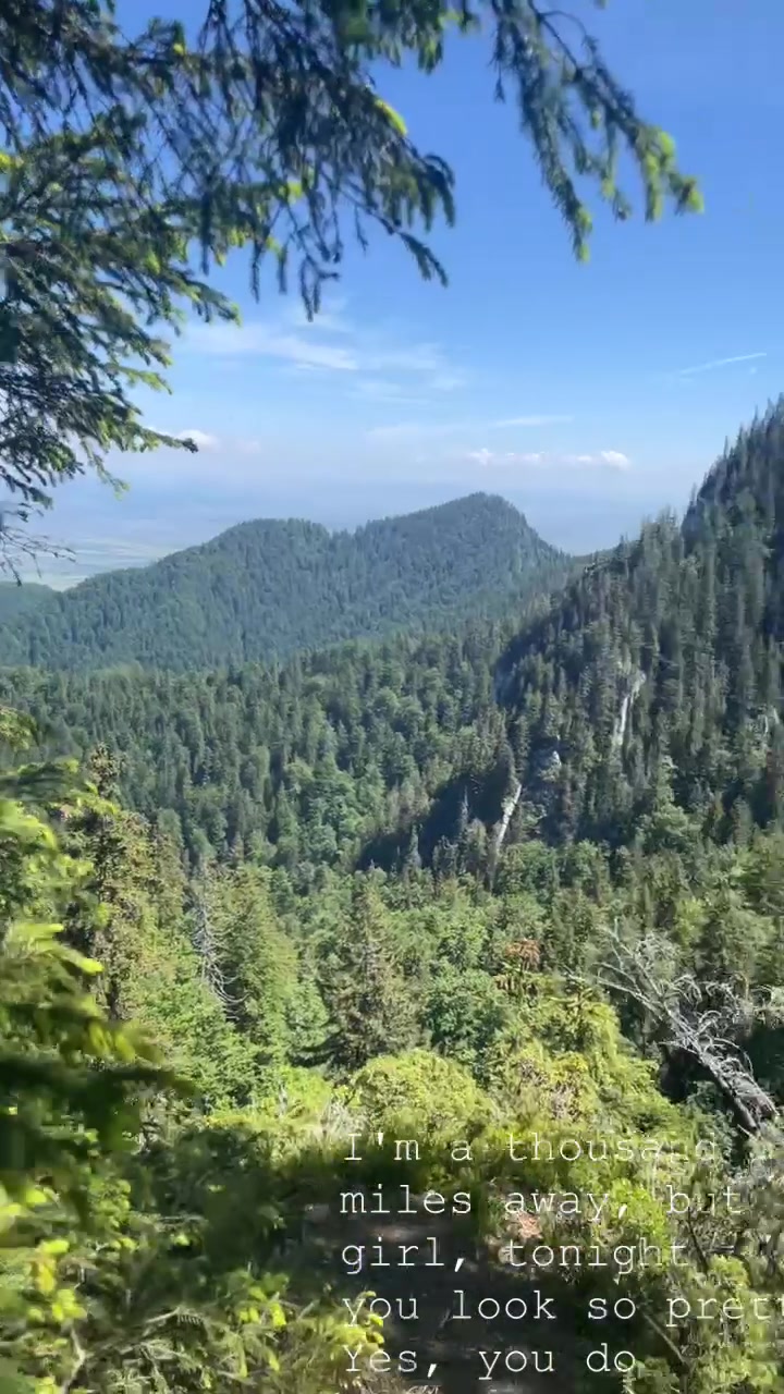 @🥇🏆Shane_travels8🥇🧳