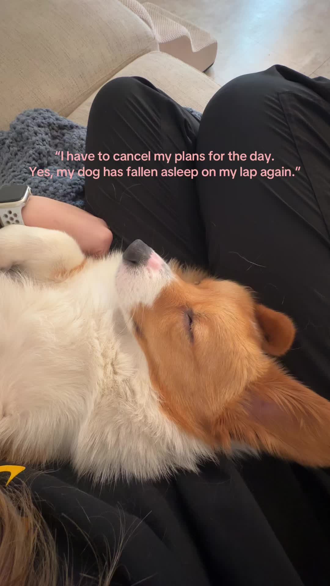 @Hope the Corgi