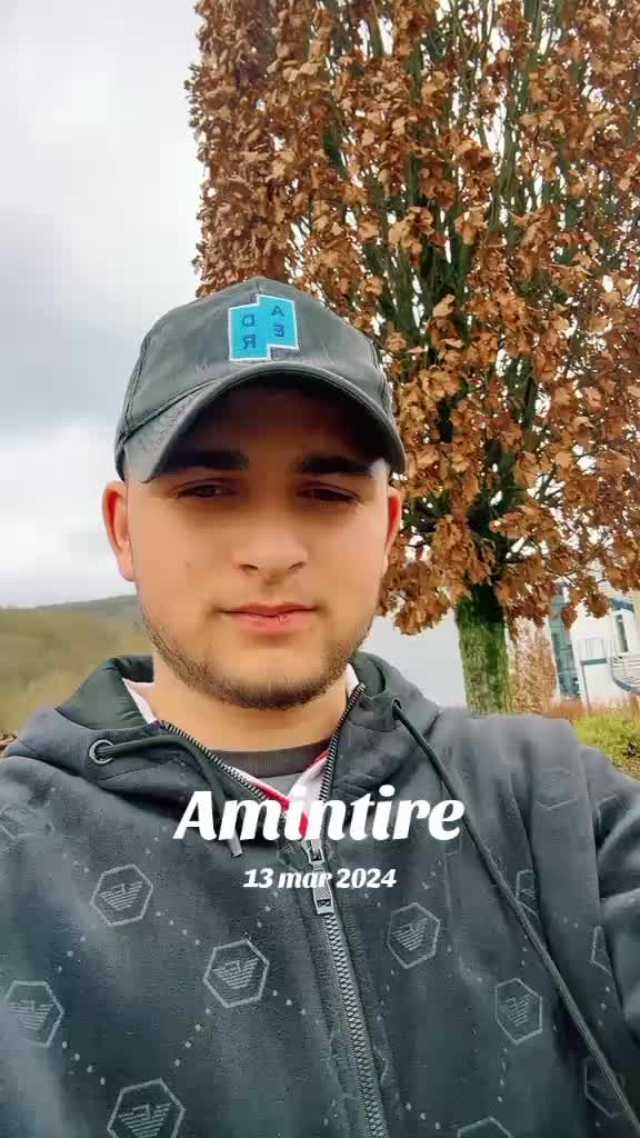 @nicolaegeaman