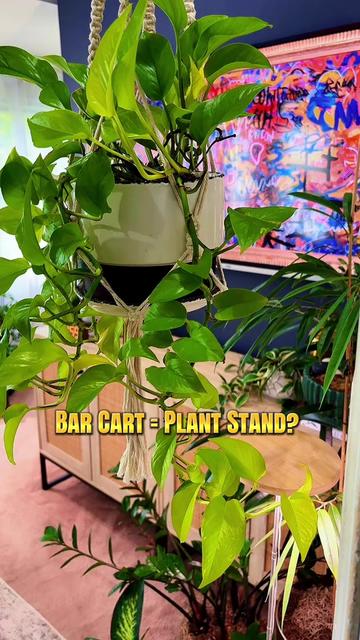 @PlantLadyNico🪴