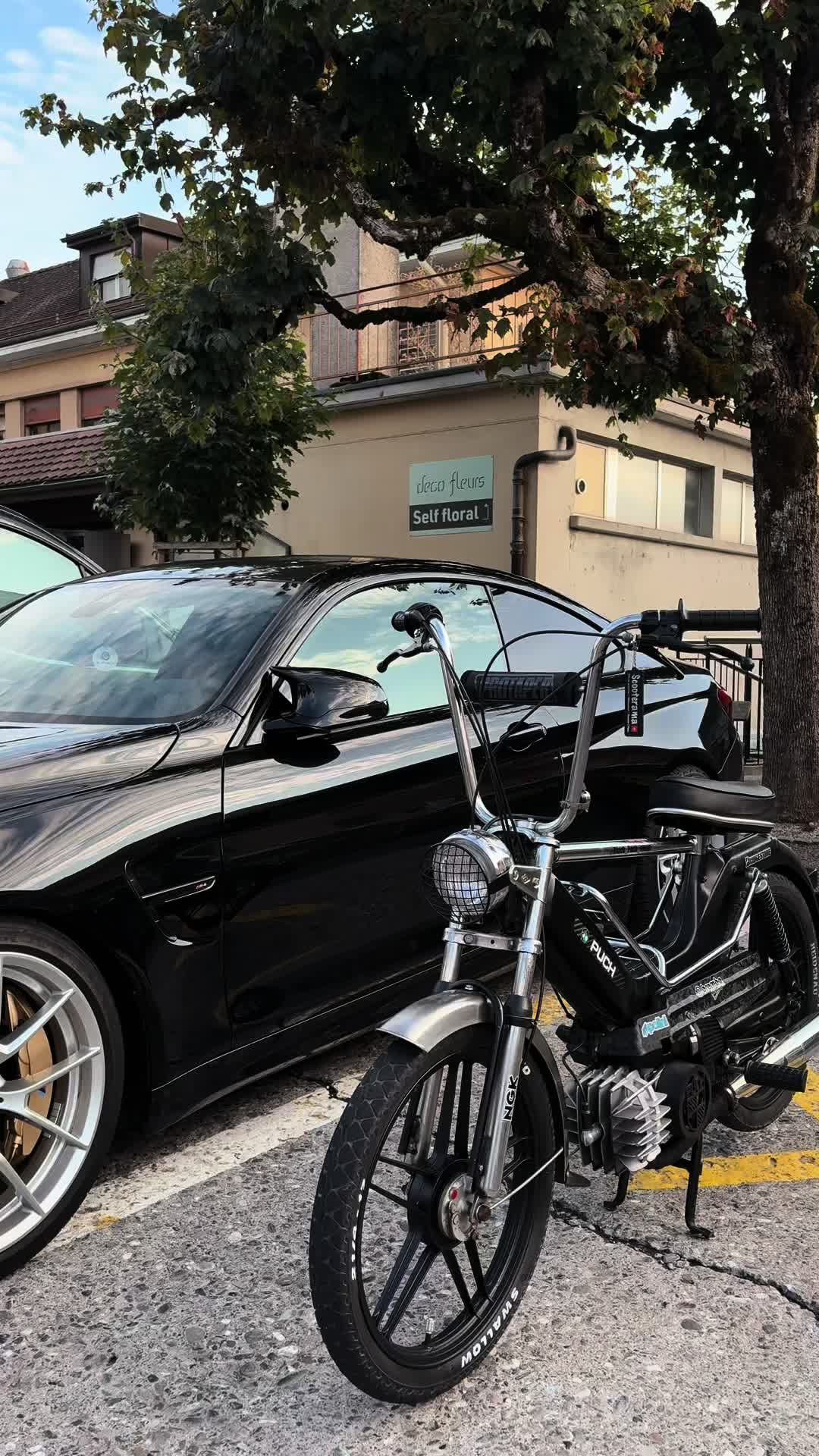 @Black_Puch_swiss