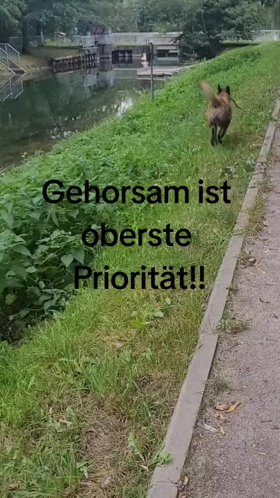 @Malinoirist Bootcamp