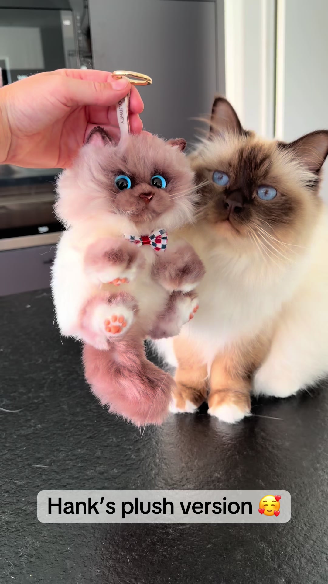 @Henk&Ollie 😺
