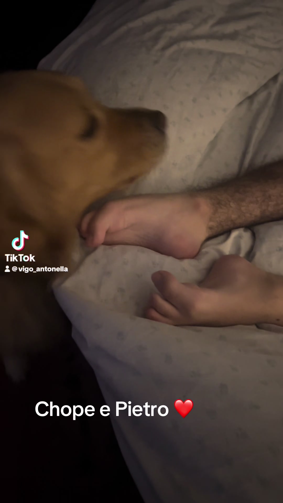 @La forza per vivere di Pietro