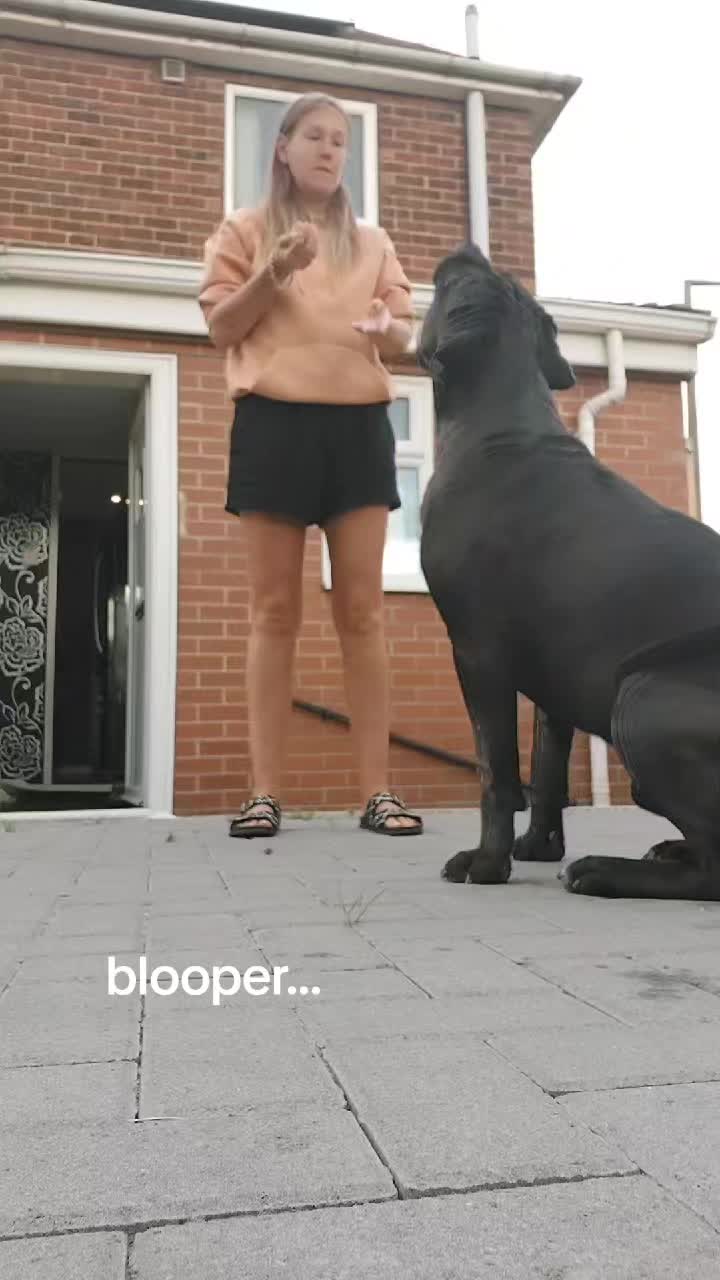 @Canecorspuppy