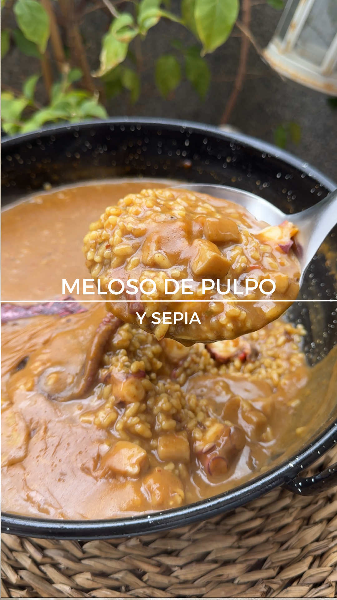 @El Chef Kent/H&eacute;ctor Medina