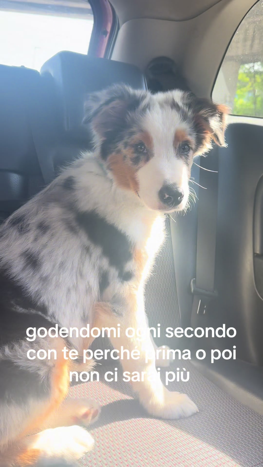@eleonora💸