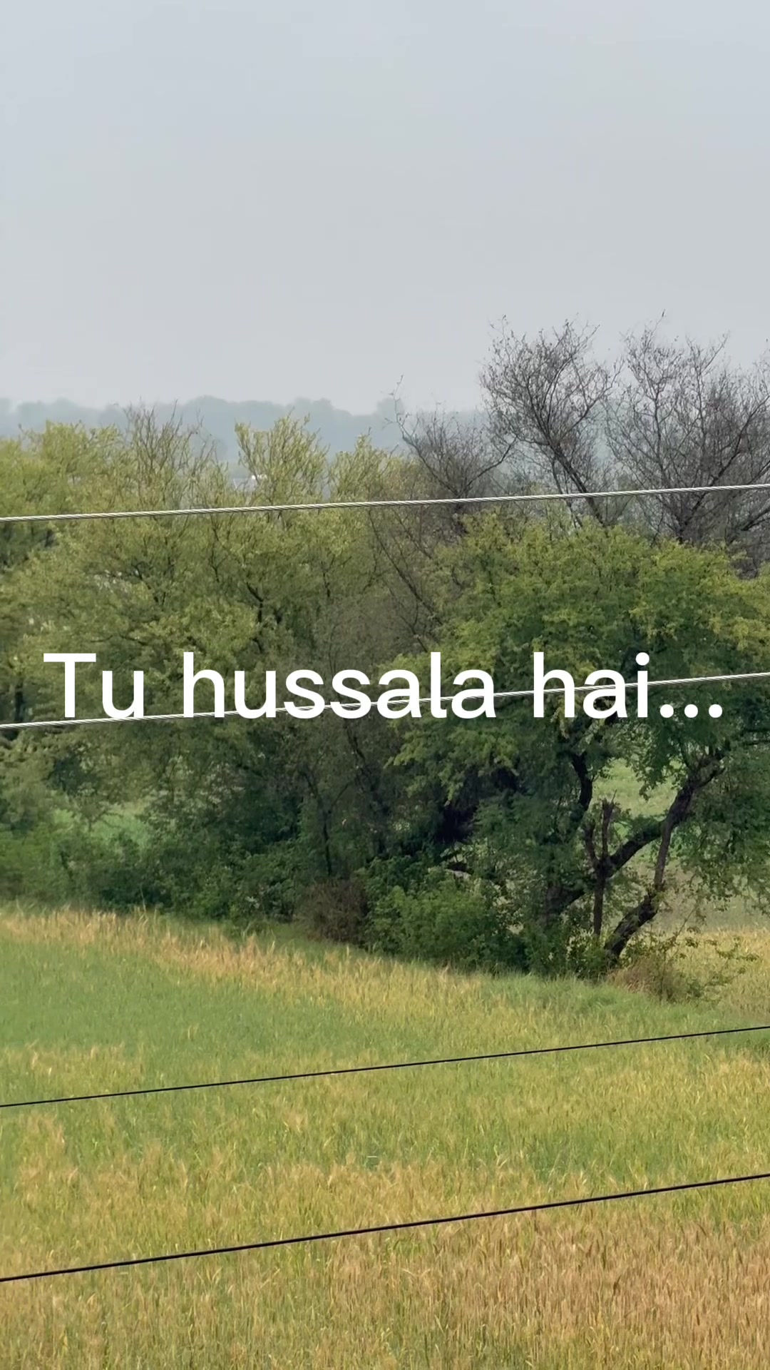 @DesiRandomShayari