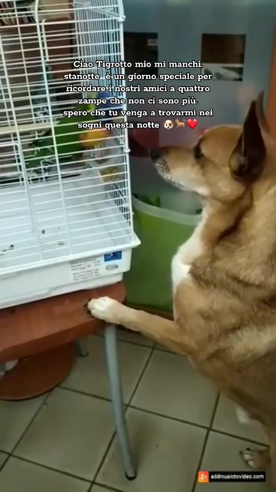 @𝓛𝓮𝓵𝓮𝓖𝓣𝓠2