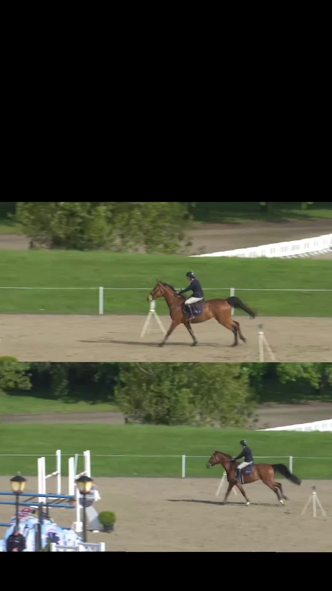 @irishsporthorses