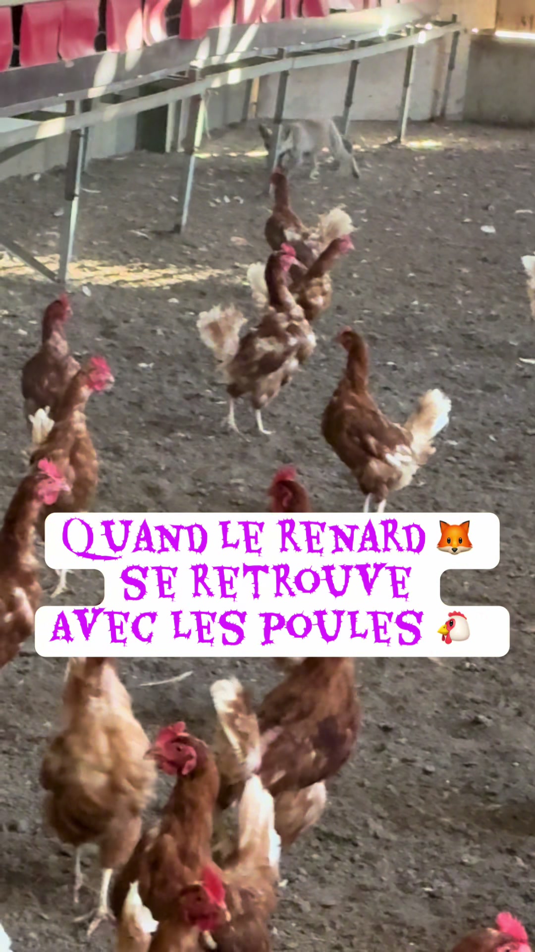 @Olivier Sourdin