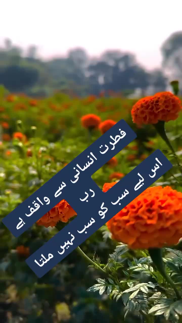@ishq ibadat