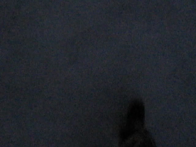 @i’m going insane