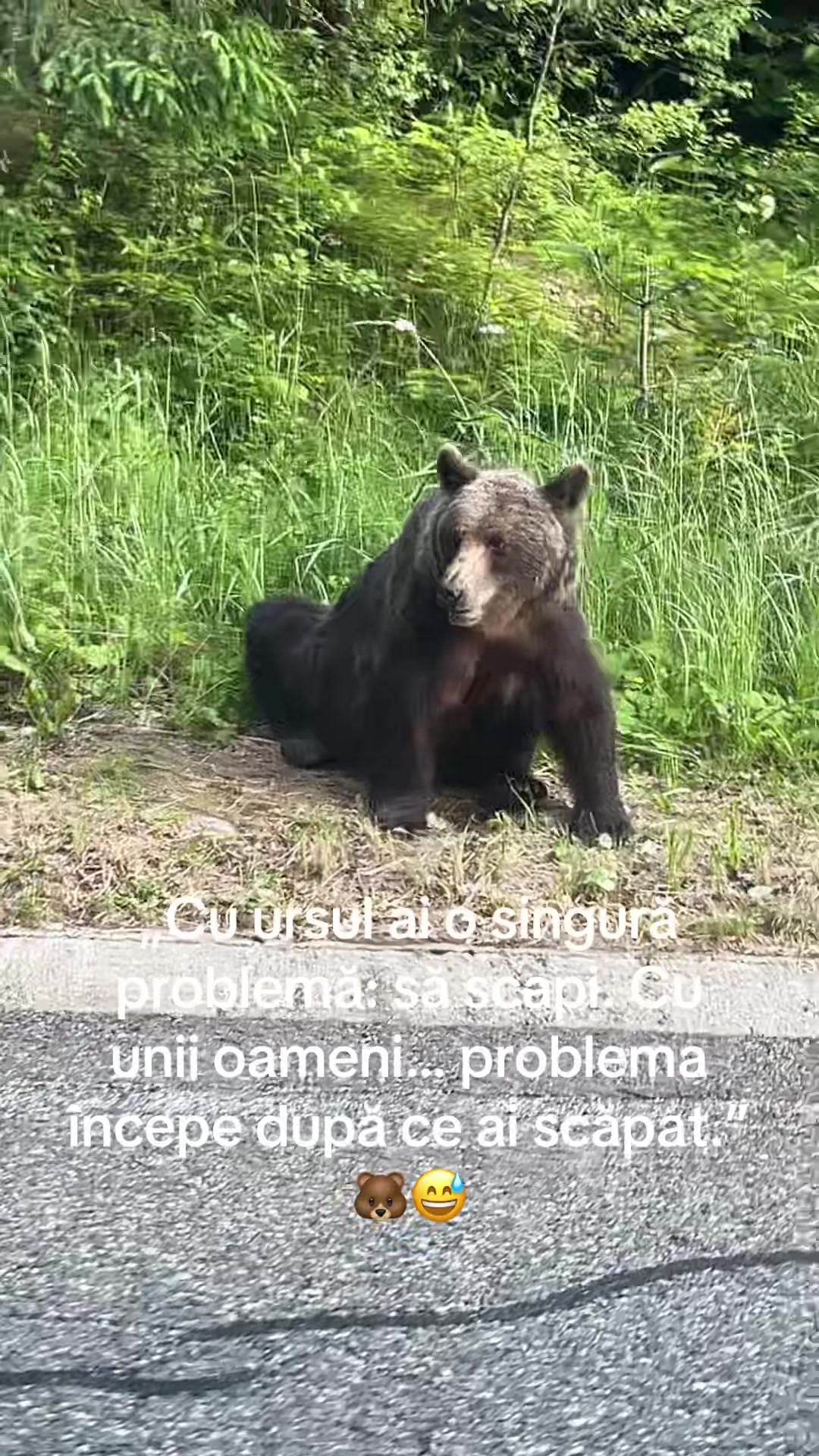 @💫ANCA💫