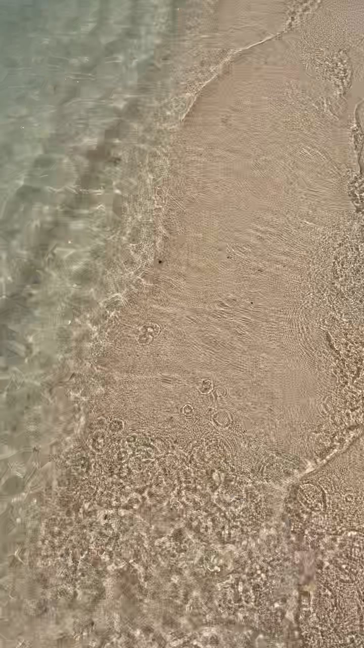 @rogerjnkk