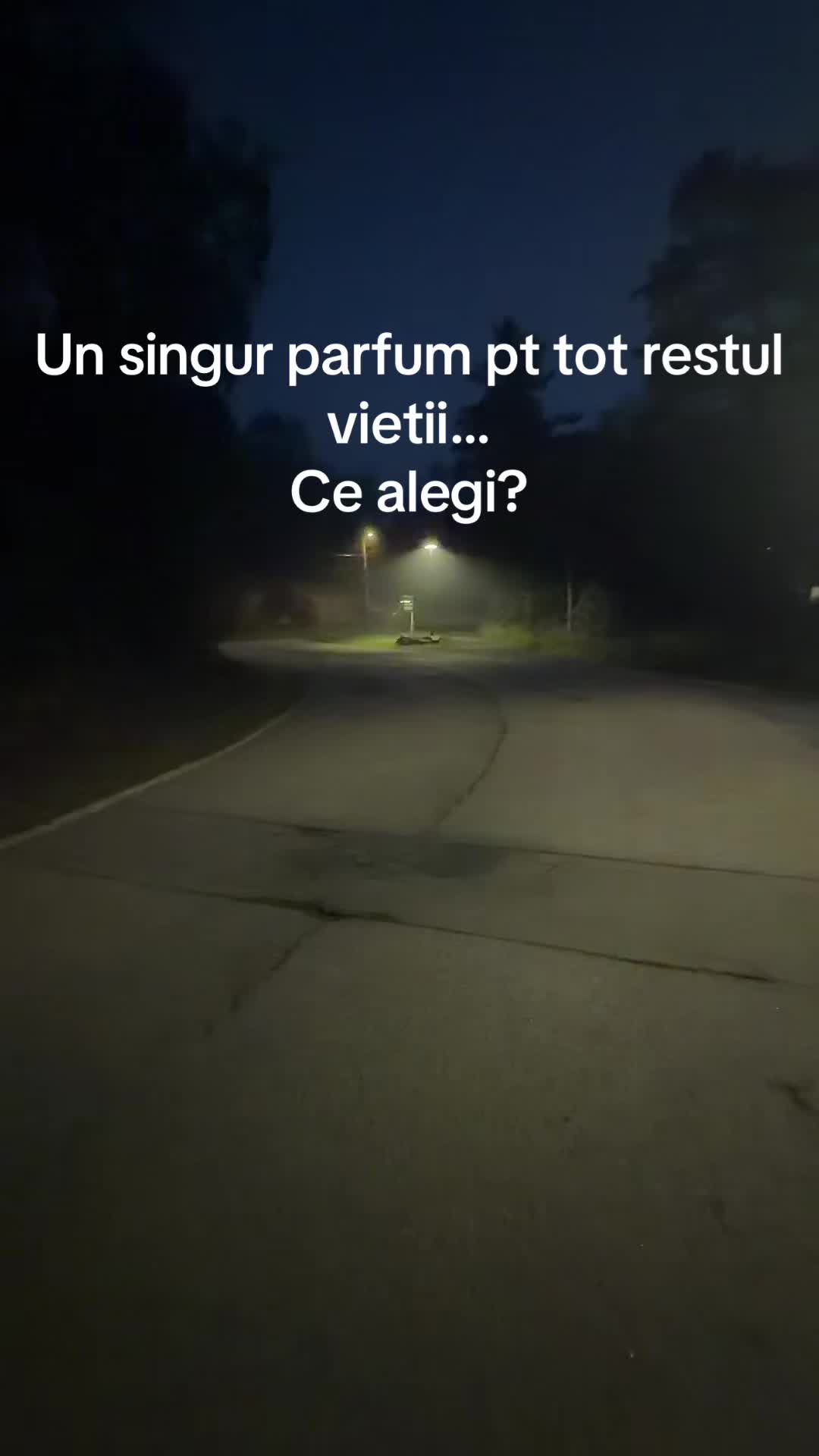 @Elisabeta🇳🇴🇷🇴