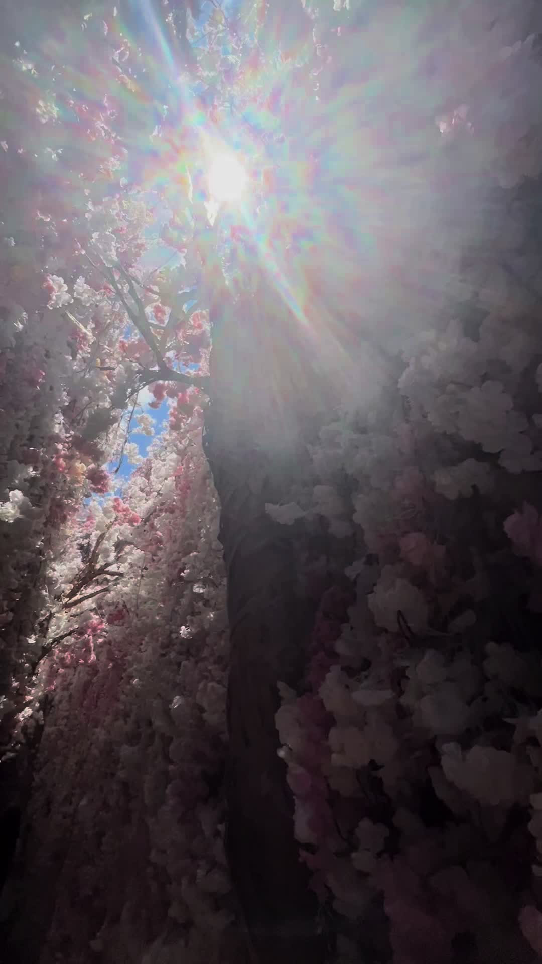 @🌼tia🌼