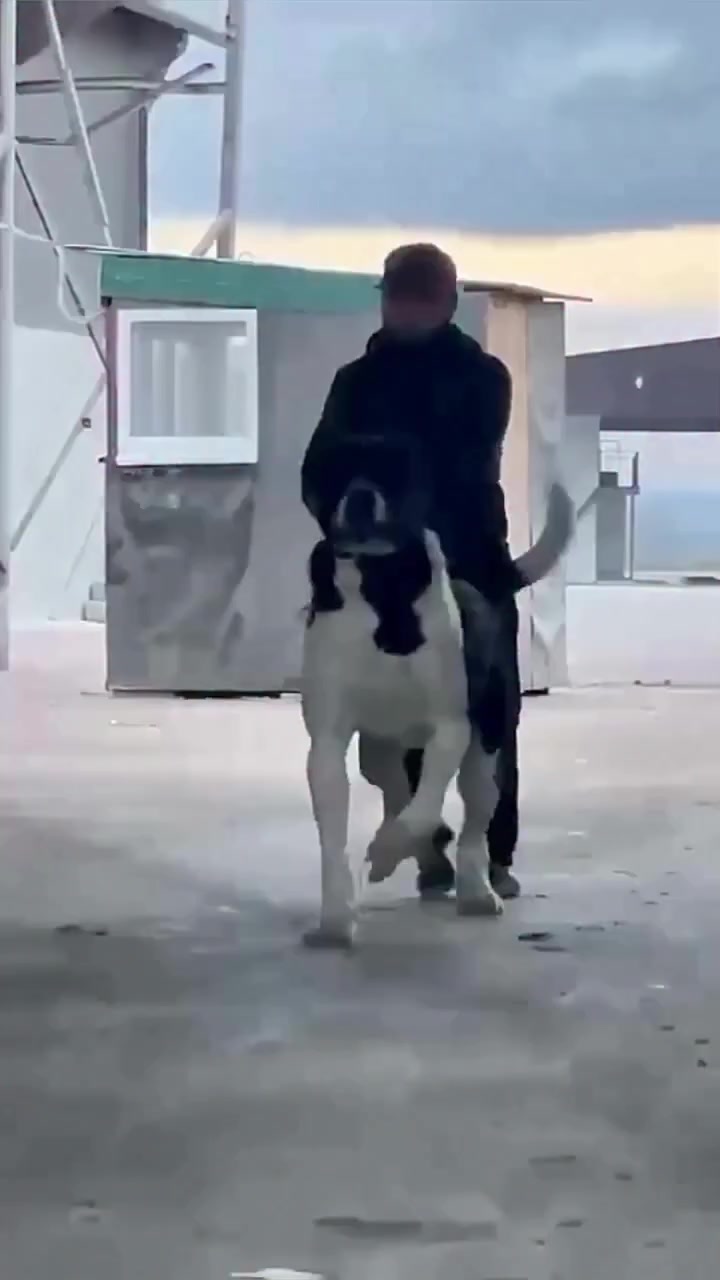 @şəmkir👊