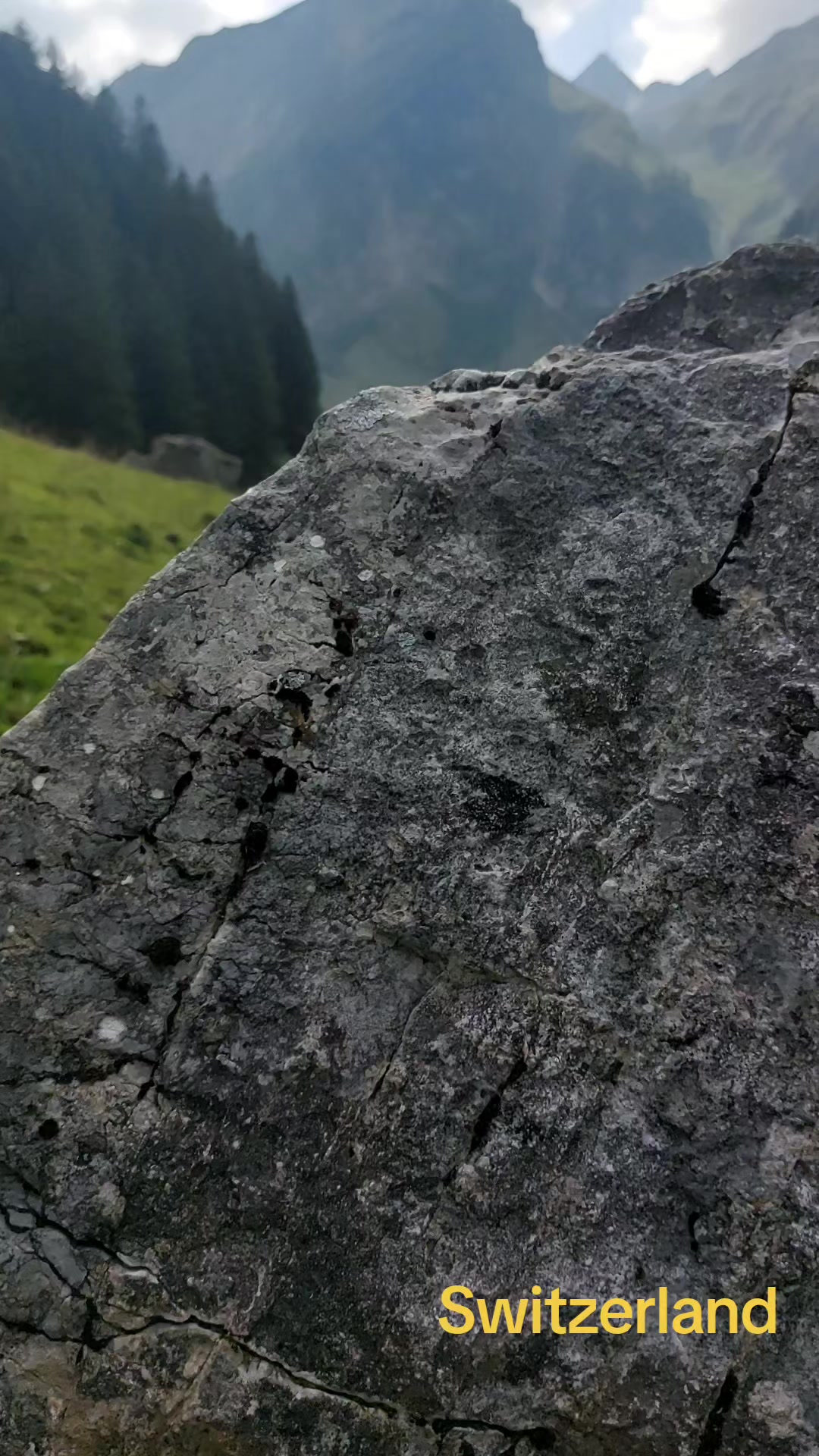 @Vladzik67