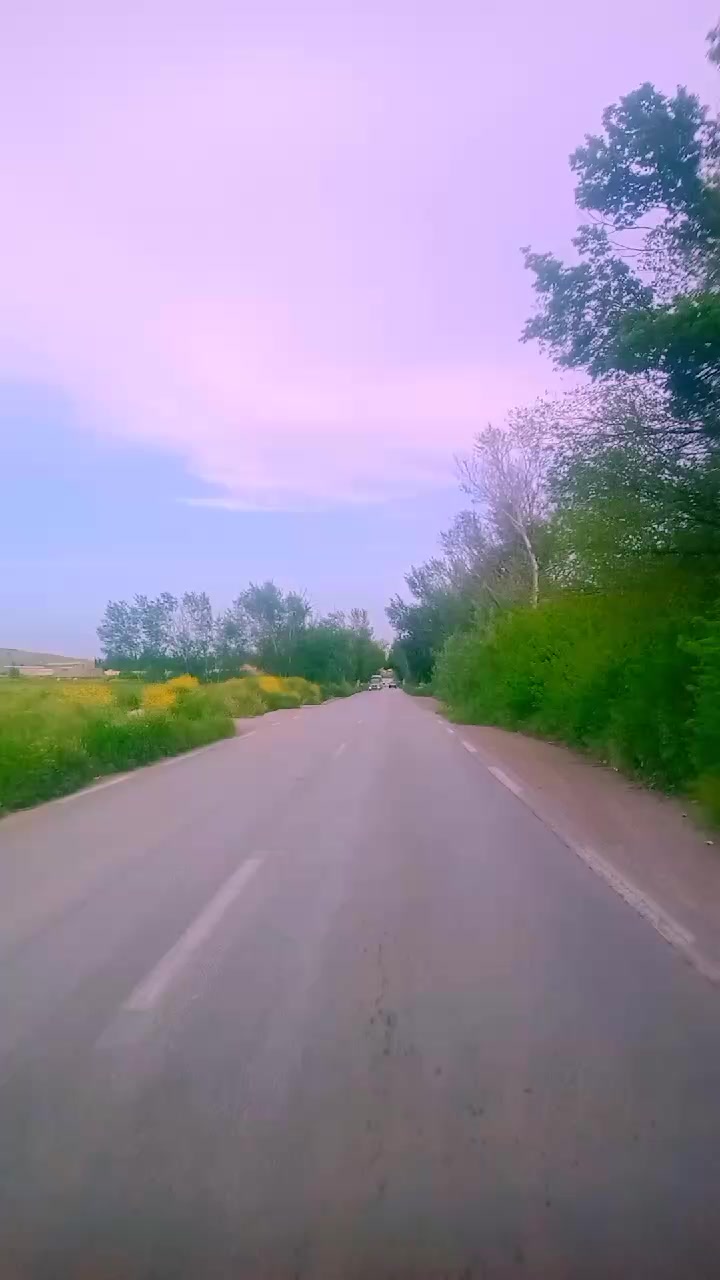 @محمد أمين 🇩🇿