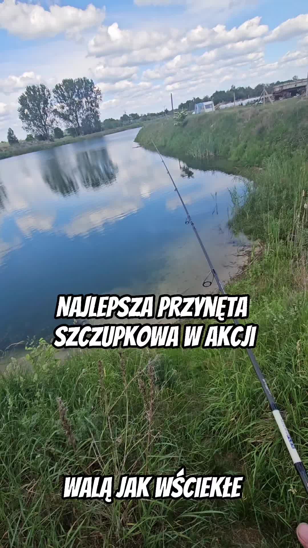 @mfly_lures