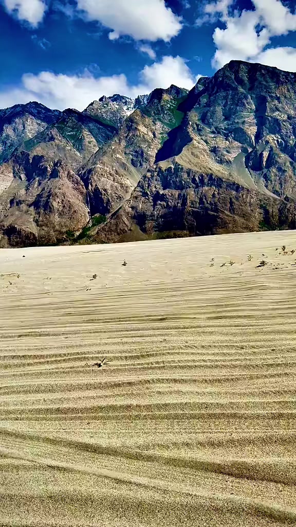 @Nature lover