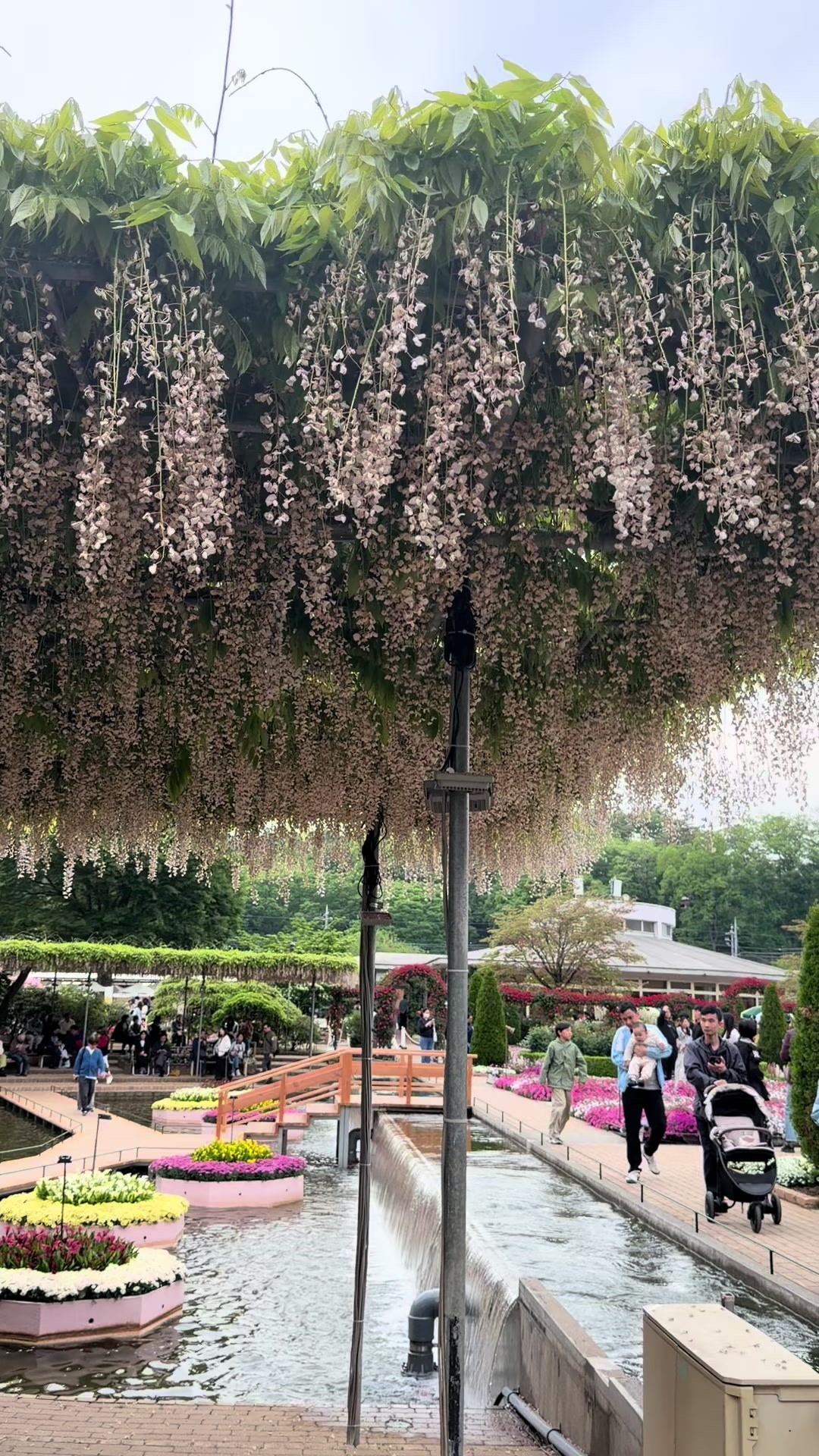 @Hà ghét ăn mochiii