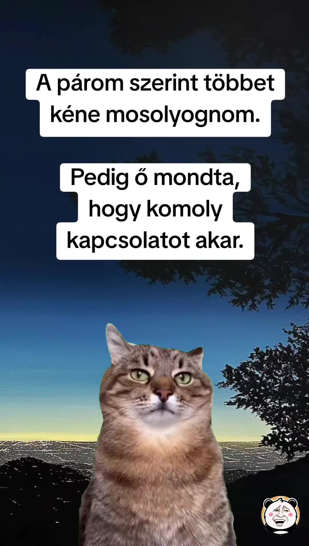 @🐼 Po&eacute;nPanda 🐼