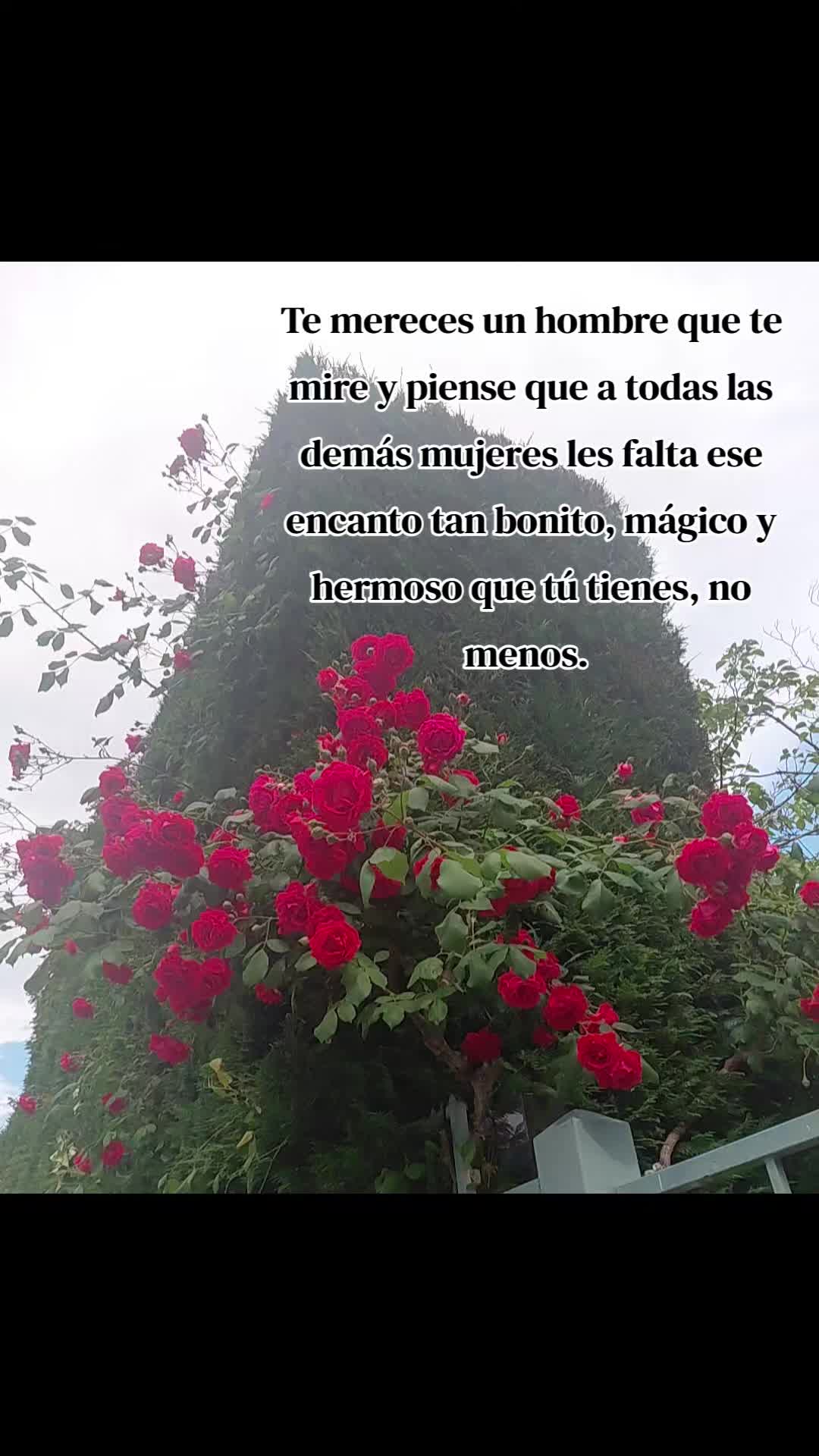 @María Teresa
