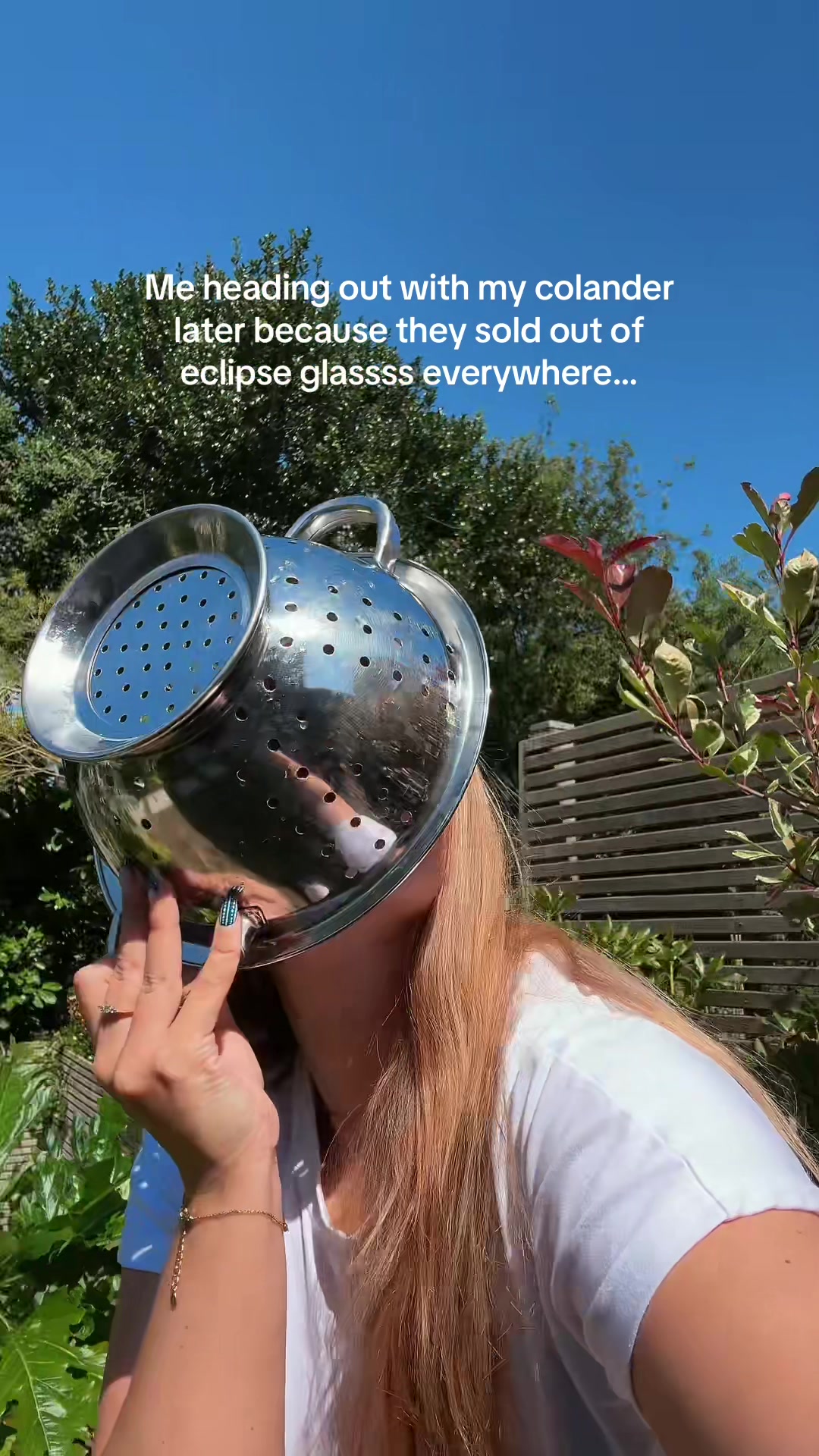 @Polly Frier | Content Creator