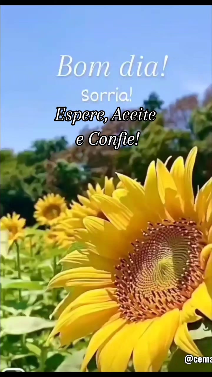 @Cemaremansa