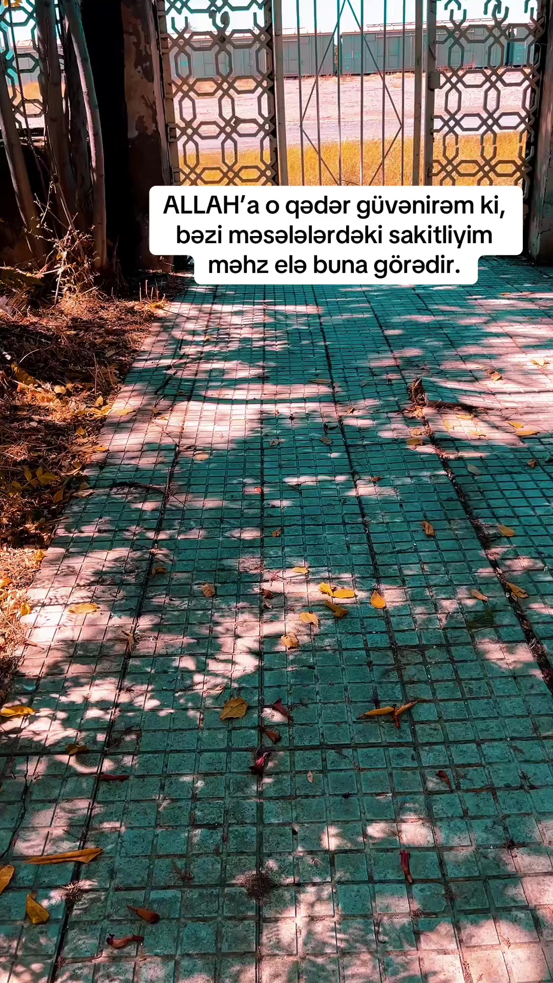 @Sara Məmmədli🇦🇿