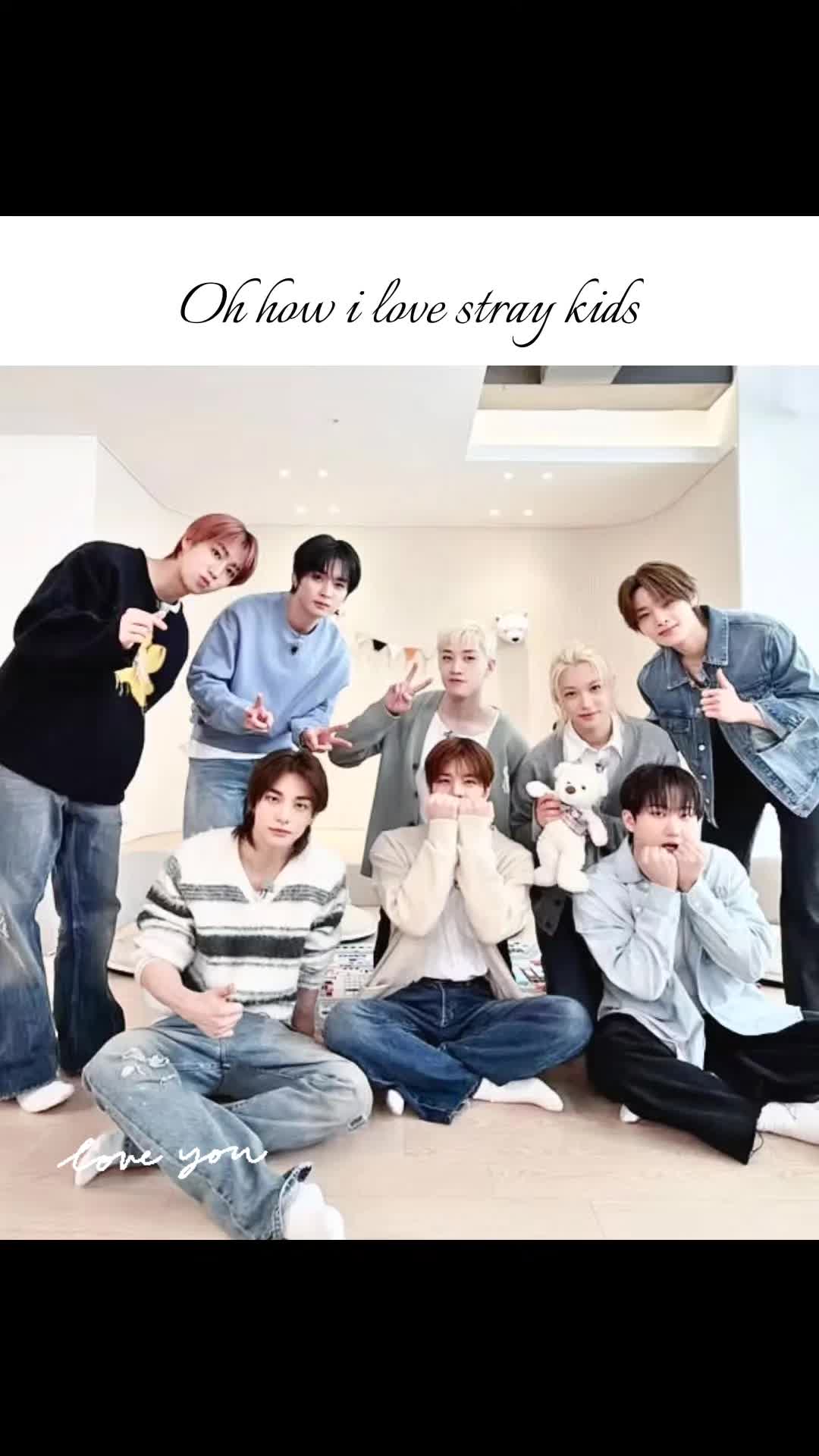 @Straykids Fan