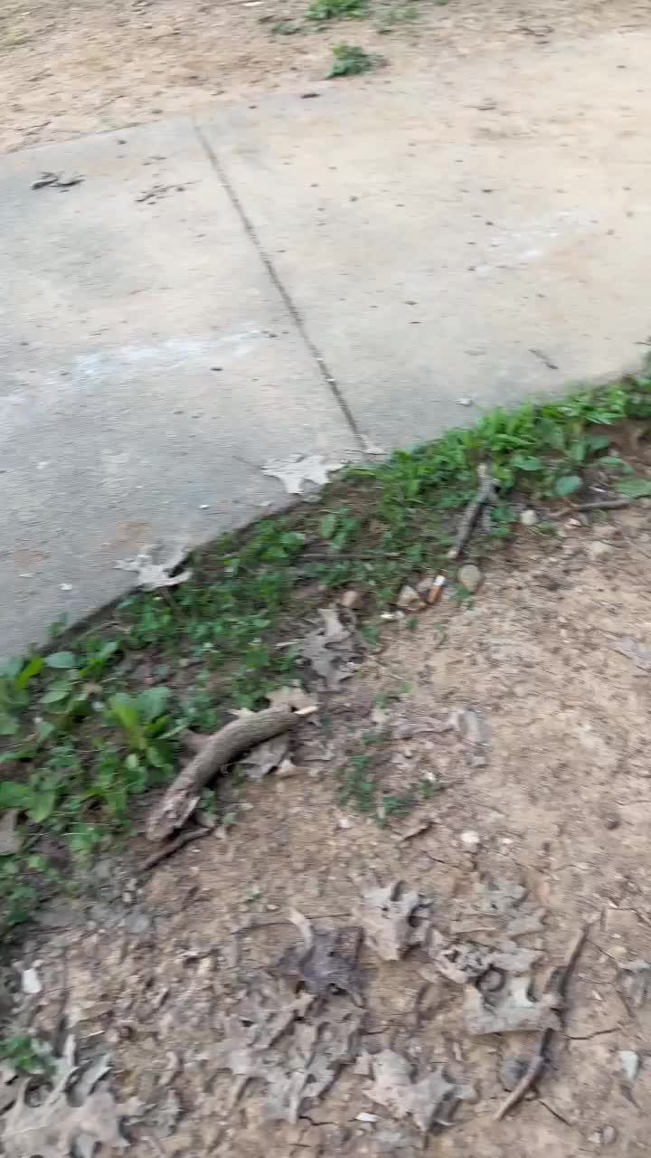 @Shawn