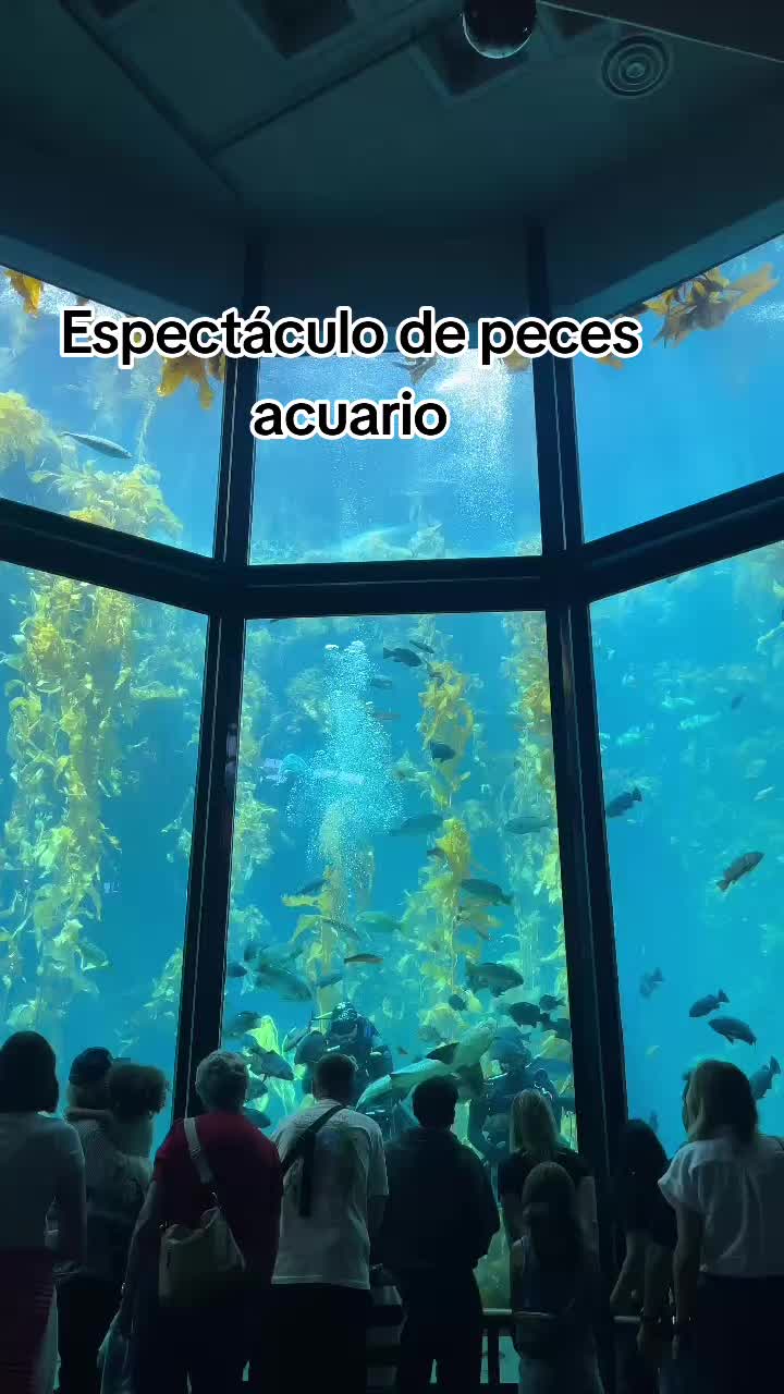 @🦋𝓜𝓲𝓻𝓪𝓷𝓭a