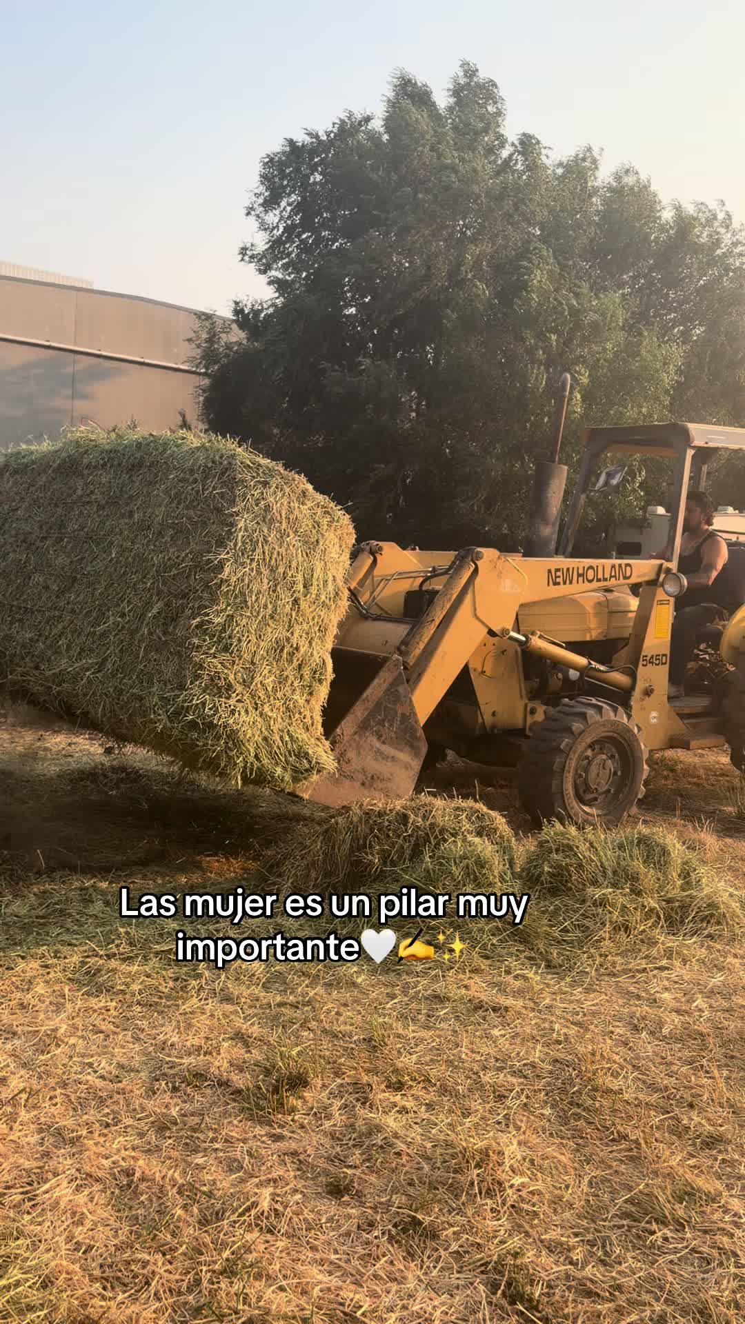 @Sayuri💚 11:11