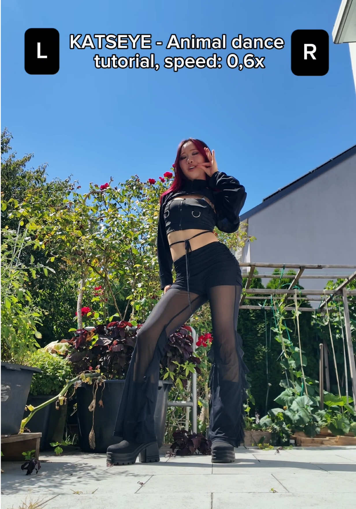 @Mai_linhi
