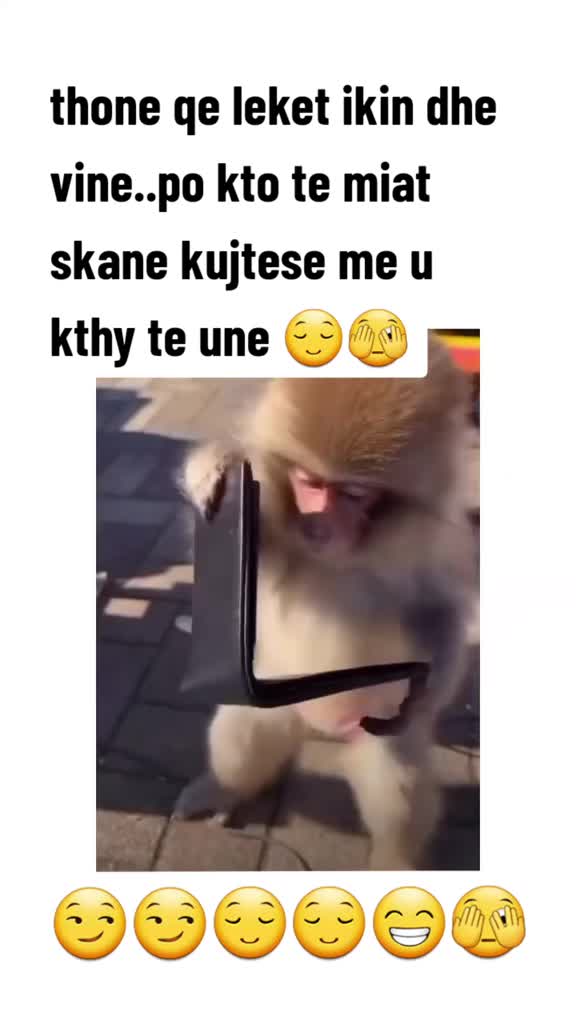 @♊ ♊♊♊♊